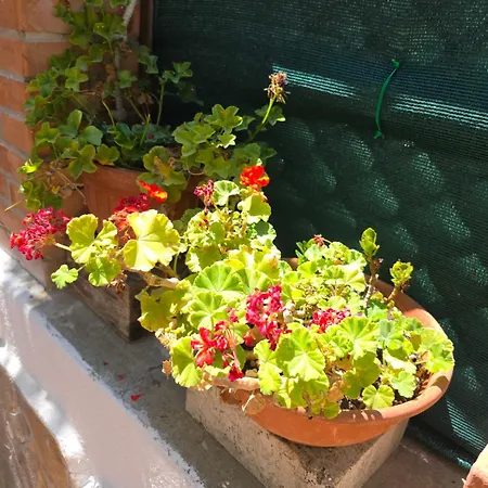 Casettafiore * Civitavecchia